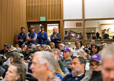Flightline interest sold for $4.6 million to Freddy Seitz with Brookdale representing an undisclosed buyer at the Keeneland November Breeding Stock Sale in Lexington, KY on November 7, 2022. Flightline is retired to Lane’s End Farm.