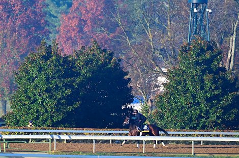 Asmussen, Pletcher brings talented duos in Disstaff