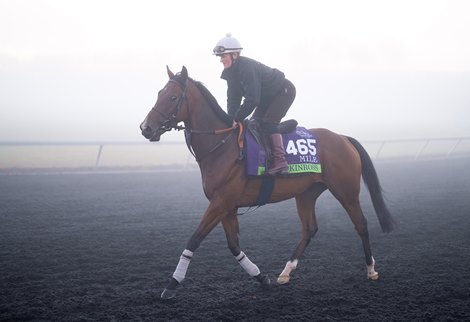 Kinross exercises in the fog at Keeneland racetrack on Thursday morning<br><br />
Keeneland 3.11.22 Pic: Edward Whitaker