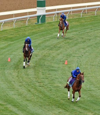 November 1, 2022: Charlie Appleby runners, Modern Games (bottom right) Nations Pride (center) and Creative Force, on the Keeneland turf course Tuesday morning...<br><br />
Rick Samuels/The Blood-Horse