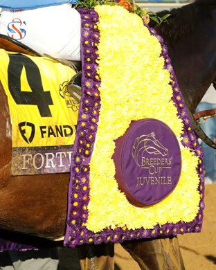 FORTE - FanDuel Breeders&#39; Cup Juvenile G1 - 39th Running - 11-04-22 - R09 - Keeneland