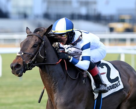 Temple City Terror wins the 2022 Long Island Stakes at Aqueduct