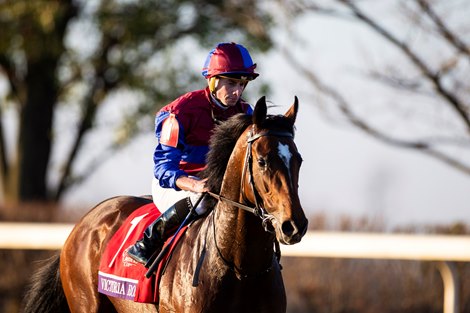 Victoria Road with Ryan Moore up wins the 16th running of the Juvenile Turf race during the first day of the 2022 Breeders’ Cup World Championships at Keeneland in Lexington, Ky., Friday, November 4, 2022.