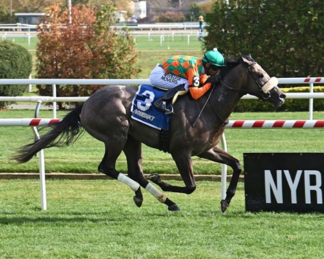 Vacation Dance wins the 2022 Atlantic Beach Stakes at Aqueduct