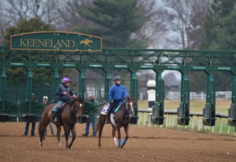 November 1, 2022: Chain Of Love after gate training Tuesday morning...<br>
Rick Samuels/The Blood-Horse
