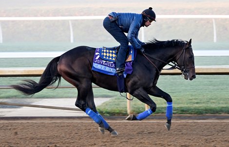 'Real Deal' Cave Rock Faces Breeders' Cup Juvenile Test