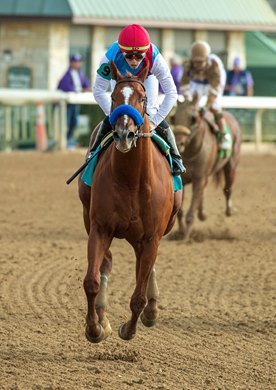 Race 4-Arabian Lion, trained by Bob Baffert and ridden by Irad Ortiz, Jr., finishes second in an AOC for 2yo going 7 furlongs on the Breeder's Cup undercard. As HIP #11, he sold to Zedan Racing for $600,000 at the Ocala Two-year-Olds in training sale 2022.