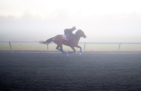 Nashwa (Hollie Doyle) Exercise in the fog in Keeland Racetrack on Thursday morning KEENELAND 3.11.22 Image: Edward Whitaker