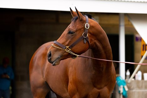 Slammed at Keeneland ahead of the Breeders&#39; Cup in Lexington, KY, on Nov. 2, 2022.