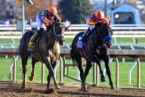 Forte with Irad Ortiz Jr wins the Juvenile (G1) at Keeneland in Lexington, KY on November 4, 2022.