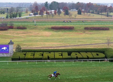 Modern Games exercises on the turf track<br><br />
Keeneland 2.11.22 Pic: Edward Whitaker