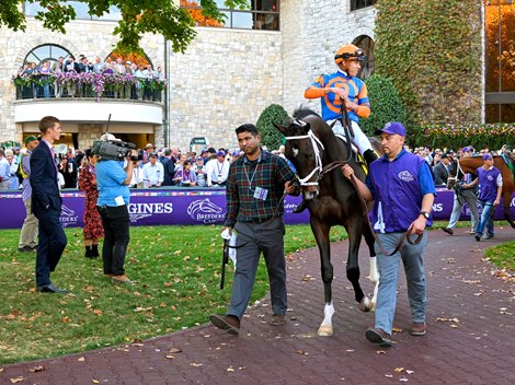 Forte with Irad Ortiz Jr. in the paddock before the Juvenile (G1) at Keeneland in Lexington, KY on November 4, 2022.