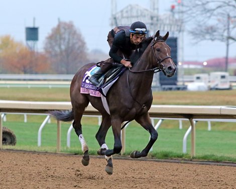 Leave No Traces on the track as we prepare for the Breeders' Cup Juvenile Fillies at Keeneland on November 1, 2022.  Photo: Chad B. Harmon