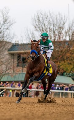 Flightline wins the Breeders' Cup Classic on Saturday November 5, 2022 at Keeneland