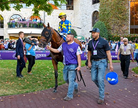 National Treasure and John Velazquez in the Juvenile (G1) front paddock at Keeneland in Lexington, KY on November 4, 2022.