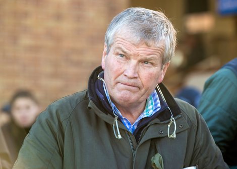 Simon Mockridge Tattersalls December Sale Foals 25/11/22
