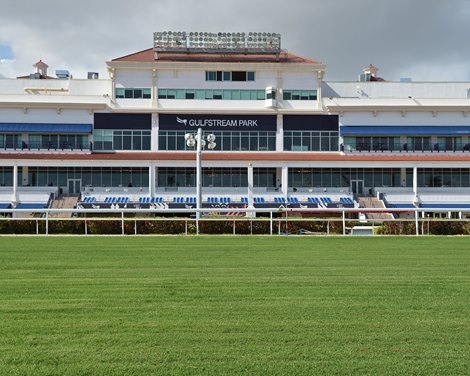 Gulfstream Park Lawn