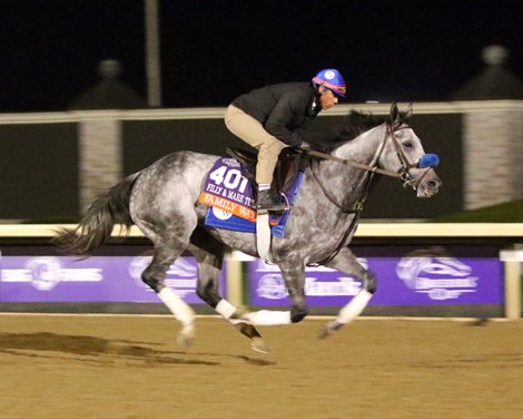 Family Way on the track at Keeneland on November 1, 2022 preparing for the Breeders' Cup Filly & Mare Turf. Photo By: Chad B. Harmon