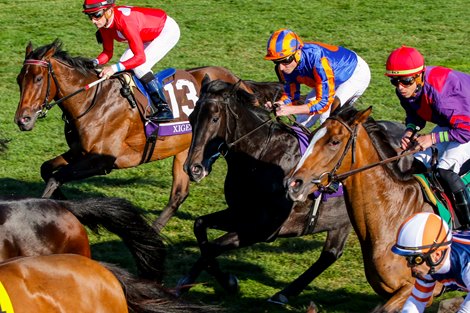 Meditate with Ryan Moore  wins the Juvenile Fillies Turf (G1T) at Keeneland in Lexington, KY on November 4, 2022.