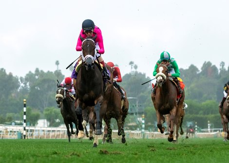 Queen Goddess carries jockey John Velazquez (black helmet) to victory in the G3T $100,000 Robert J. Frankel Stakes Saturday, December 31, 2022 at Santa Anita Park, Arcadia, CA. Benoit Photo