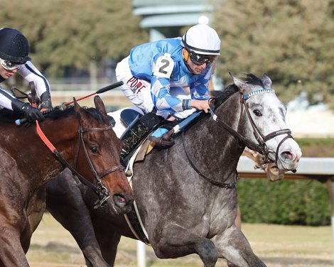 Frosted Departure wins Renaissance Stakes on Saturday, December 31, 2022 at Oaklawn Park