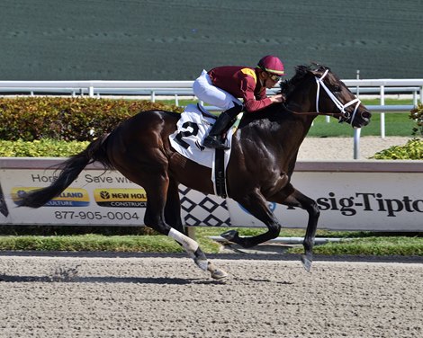 Shesterkin - Maiden Win, Gulfstream Park, December 31, 2022