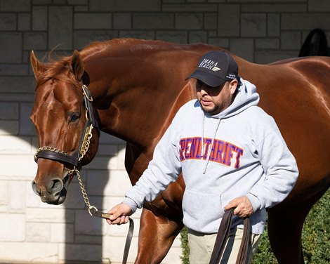 Vekoma at Spendthrift<br>
Stallions at Gainesway Farm and Spendthrift Farm near Lexington, Ky., on Nov. 23, 2022.