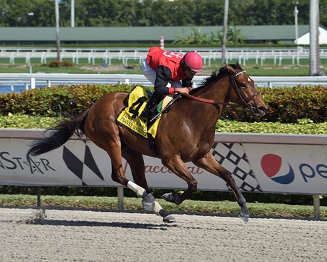 Frank&#39;s Rockette wins the 2022 Sugar Swirl Stakes at Gulfstream Park