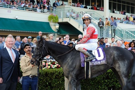 Hymn Book wins the 2012 Donn Handicap at Gulfstream Park