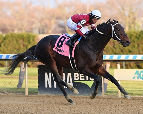 Bankit wins the 2022 New York Stallion Series - Thunder Rumble at Aqueduct