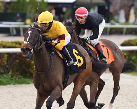 Candy Light wins the Tropical Park Oaks on Monday, December 26, 2022 at Gulfstream Park