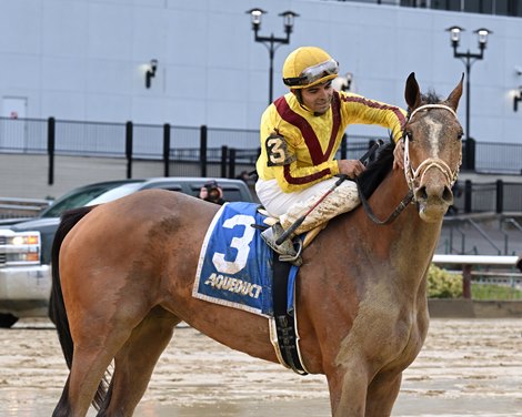 Julia Shining wins the 2022 Demoiselle Stakes at Aqueduct