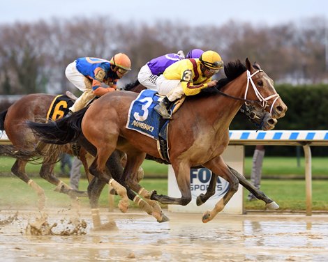 Julia Shining wins the 2022 Demoiselle Stakes at Aqueduct