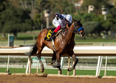 Country Grammer carries jockey Lanfranco Dettori to victory in the Grade II $200,000 San Antonio Stakes Monday, December 26, 2022 on opening day at Santa Anita Park, Arcadia, CA.<br>
Benoit Photo