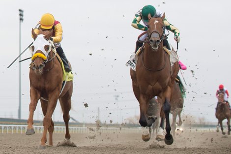 Jockey Sahin Civaci guides Armstrong to victory in the $150,000 dollar Clarendon Stakes at Woodbine Racetrack. Armstrong covered the 6 Furl in 1.11.3 for owners Reeves Thoroughbred Racing and Gary Barber. Armstrong is trained by Mark Casse 120922. Woodbine/ Michael Burns Photo