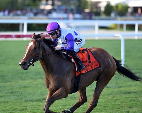 Stolen Holiday wins the 2022 Suwannee River Stakes at Gulfstream Park