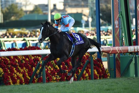Equinox beat Arima Kinen on December 25, 2022 at Nakayama Racecourse