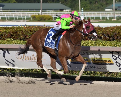 Sibelius wins the 2022 Mr. Prospector Stakes at Gulfstream Park