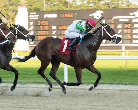 R Adios Jersey and Shivaree Score Florida Stallion Stakes - Past