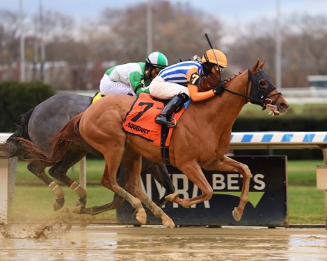 Dubyuhnell wins the 2022 Remsen Stakes at Aqueduct