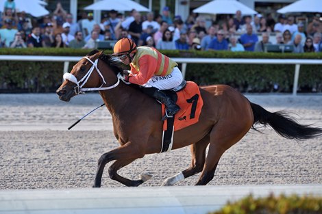 Maryquitect wins Rampart Staking in 2022 at Gulfstream Park