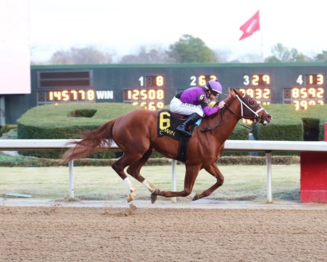 Eyeing Clover - MSW - OP - 123122