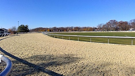 The renovated racetrack at Belmont Park features a synthetic Tapeta surface.