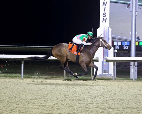 Capella - Maiden Win, Turfway Park, December 29, 2022