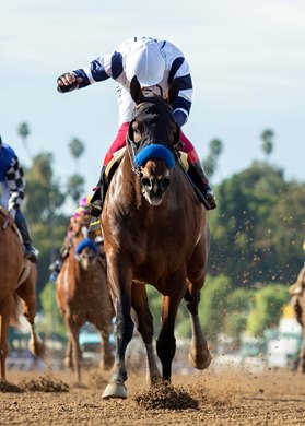 Country Grammer carries jockey Lanfranco Dettori to victory in the Grade II $200,000 San Antonio Stakes Monday, December 26, 2022 on opening day at Santa Anita Park, Arcadia, CA. Benoit Photo