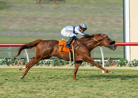 Turn On The Jets and jockey Juan Hernandez win the $100,000 Stormy Liberal Stakes, Saturday, December 3, 2022 at Del Mar Thoroughbred Club, Del Mar CA.