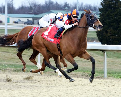 In Love wins the Prairie Bayou Stakes on Saturday, December 17, 2022 at Turfway Park