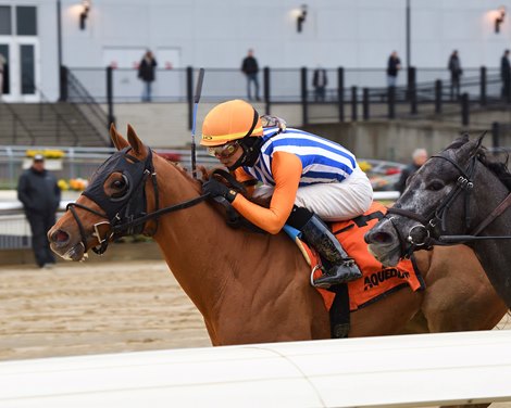 Dubyuhnell wins Remsen Stakes 2022 at Aqueduct