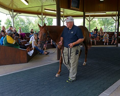 Funny Cide with Wes Lanter at Kentucky Horse Park near Lexington, Ky.  on July 24, 2013