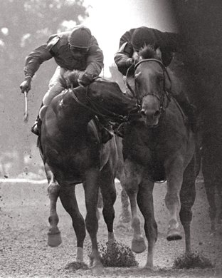 The Savage<br>
Great Prospector bites winner Golden Derby in the 1980 Tremont